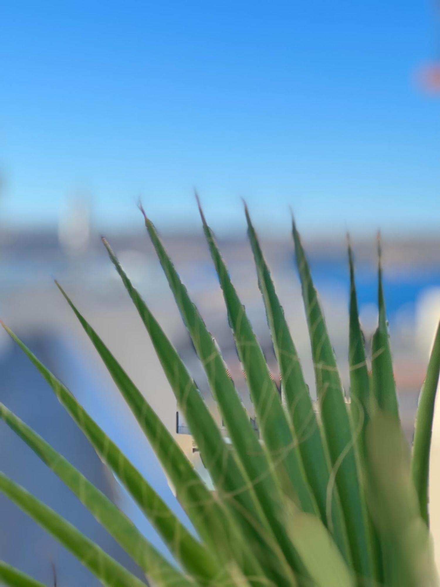 Modern & Spacious 2Br Penthouse With Terrace - Close To Qawra Beach St. Paul's Bay Buitenkant foto